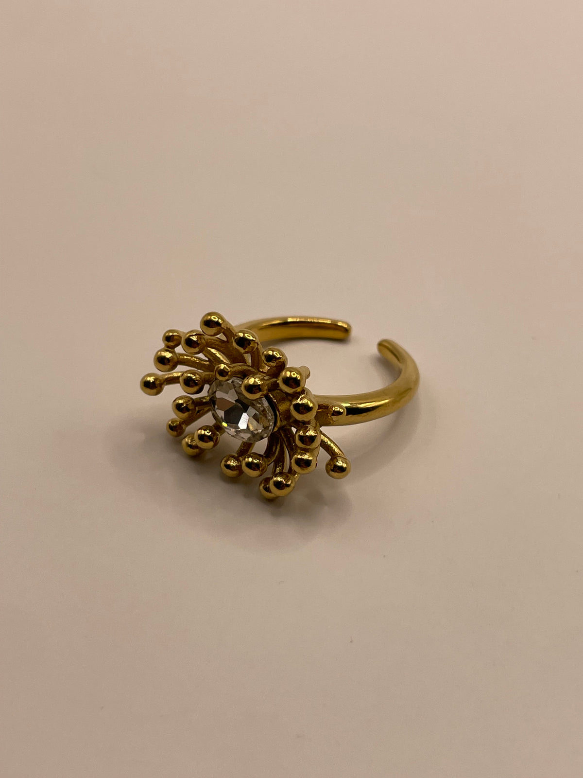 ANILLO CHARLOTTE