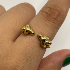 ANILLO NUDITOS