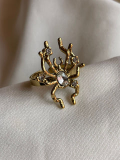 ANILLO ARRECIFE