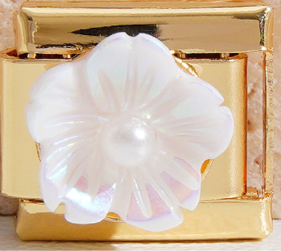 CHARM ROSA