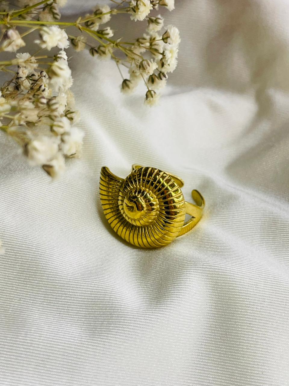ANILLO CARACOL